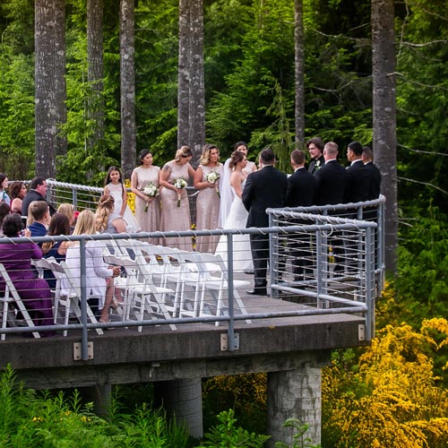 wedding on the deck