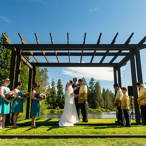 wedding party under trellis