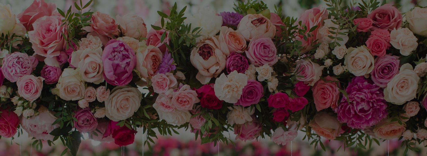 pink and white flowers